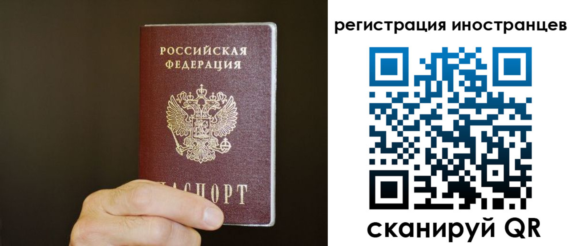 прописка в Жукове